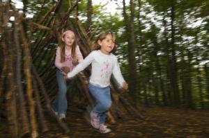 Greenwood Forest Park image 3